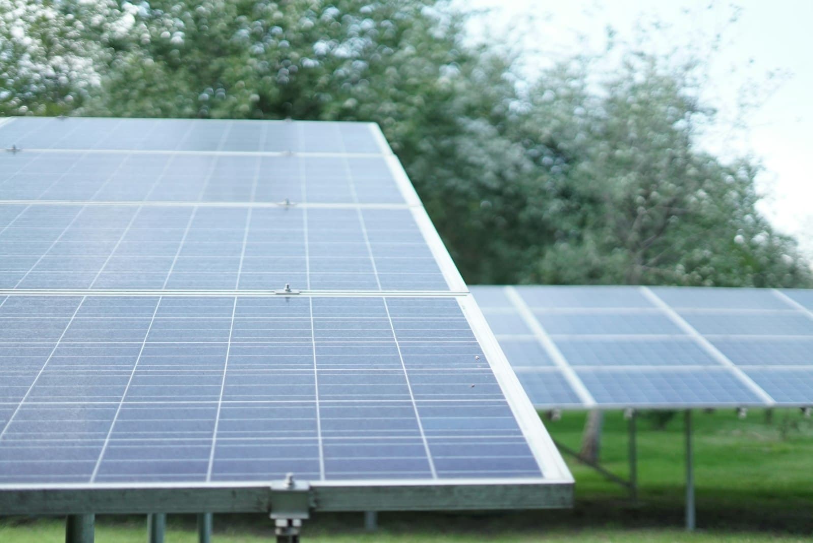 Solar panels on a raised frame with leafy trees behind
